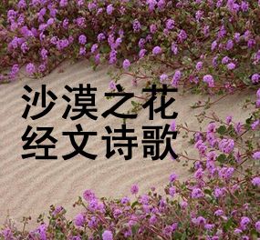8.赞美主奇妙作为