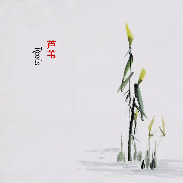 08引路星(伴奏)